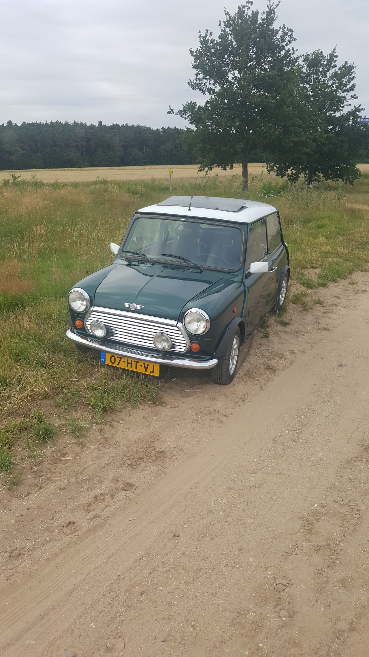Rover Mini - 1.3 Cooper 1.3 i spi 1275cc - AutoWereld.nl