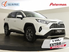 Toyota RAV4 - 2.5 Hybrid Style Edition | Stuur en Stoelverming | PDC V+A