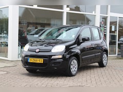 Fiat Panda - 1.2 EDIZIONE COOL