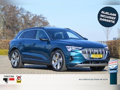 Audi e-tron - e-tron 55 quattro advanced Pro Line Plus 95 kWh