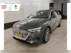 Audi e-tron - 55 Quattro edition 95kWh 408PK Leer Full-Led Camera