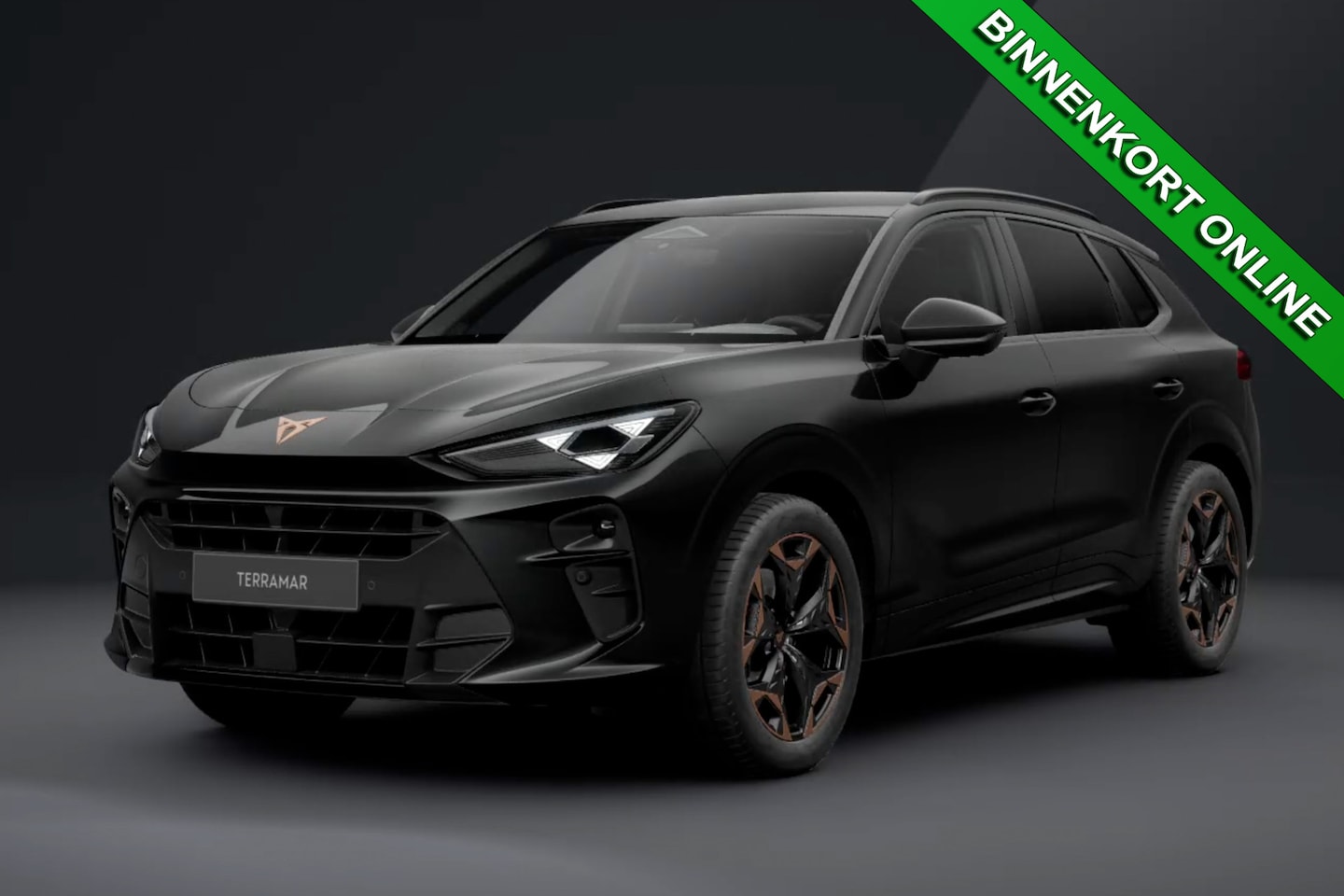 CUPRA Terramar - 1.5 eTSI ✅ 360 CAM ✅ 19" COPPER ✅ MEMORY ✅ ADAP.CRUISE ✅ BTW - AutoWereld.nl