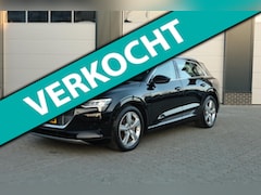 Audi e-tron - E-tron 50 quattro Launch edition plus Panodak