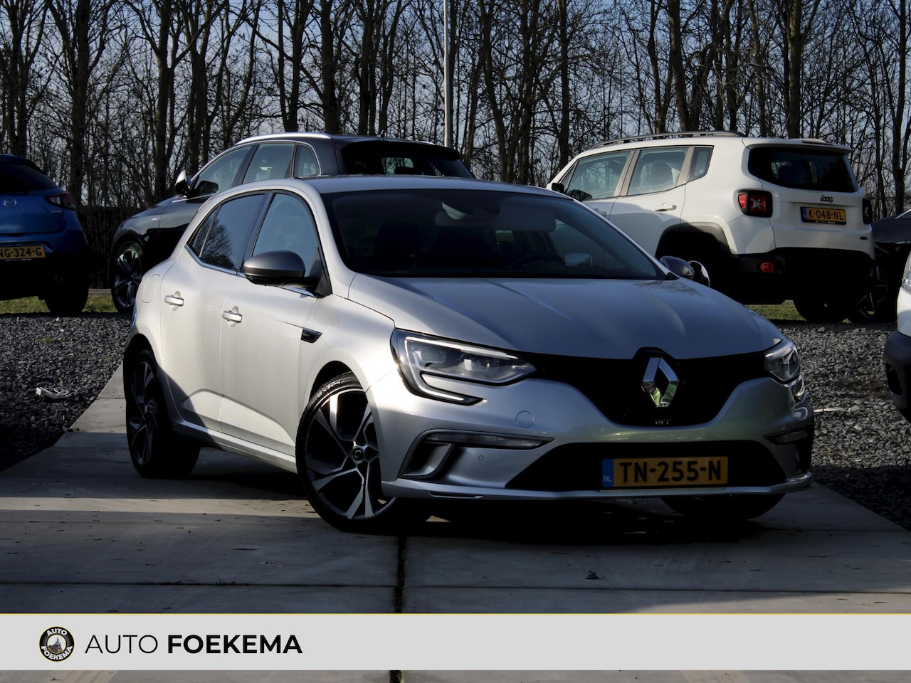 Renault Mégane - 1.6 TCe GT HUD Schaalstoelen 4 CONTROL - AutoWereld.nl