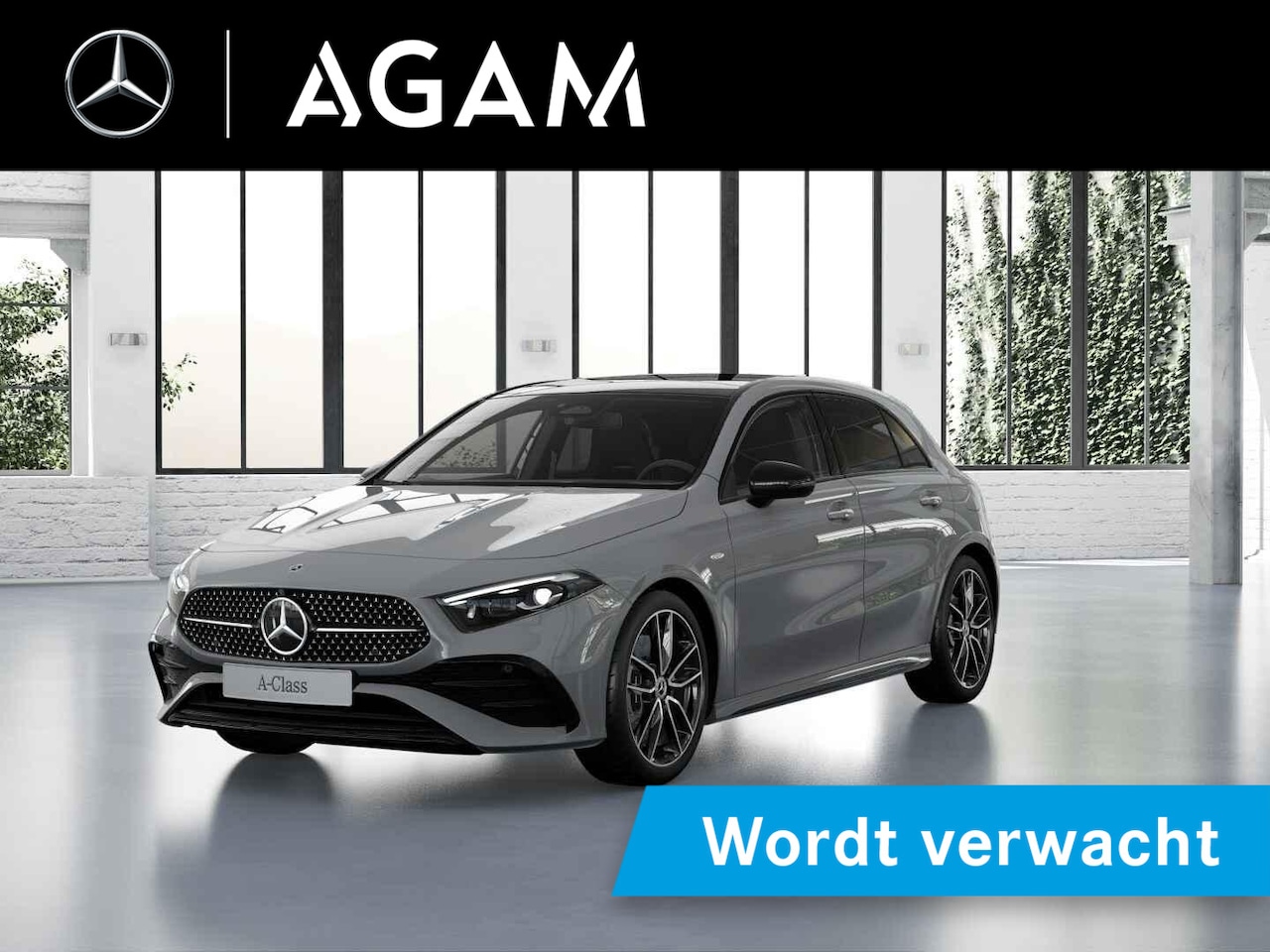 Mercedes-Benz A-klasse - Hatchback 250 e 140 Year Edition - AutoWereld.nl