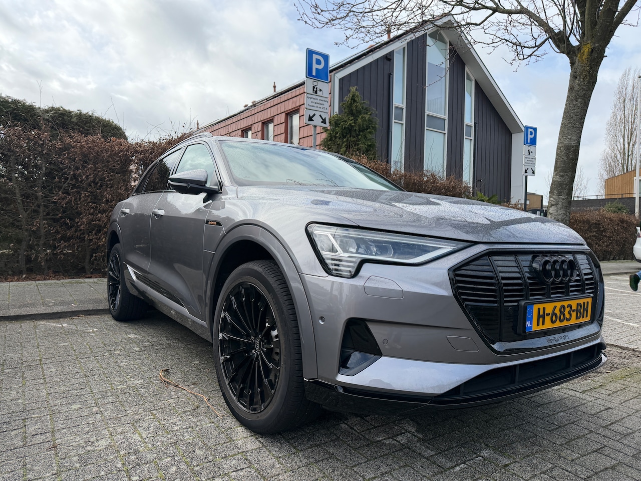 Audi e-tron - e-tron 50 quattro Launch edition plus - AutoWereld.nl