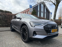 Audi e-tron - e-tron 50 quattro Launch edition plus | Camera | Stoelverw. | Alarm