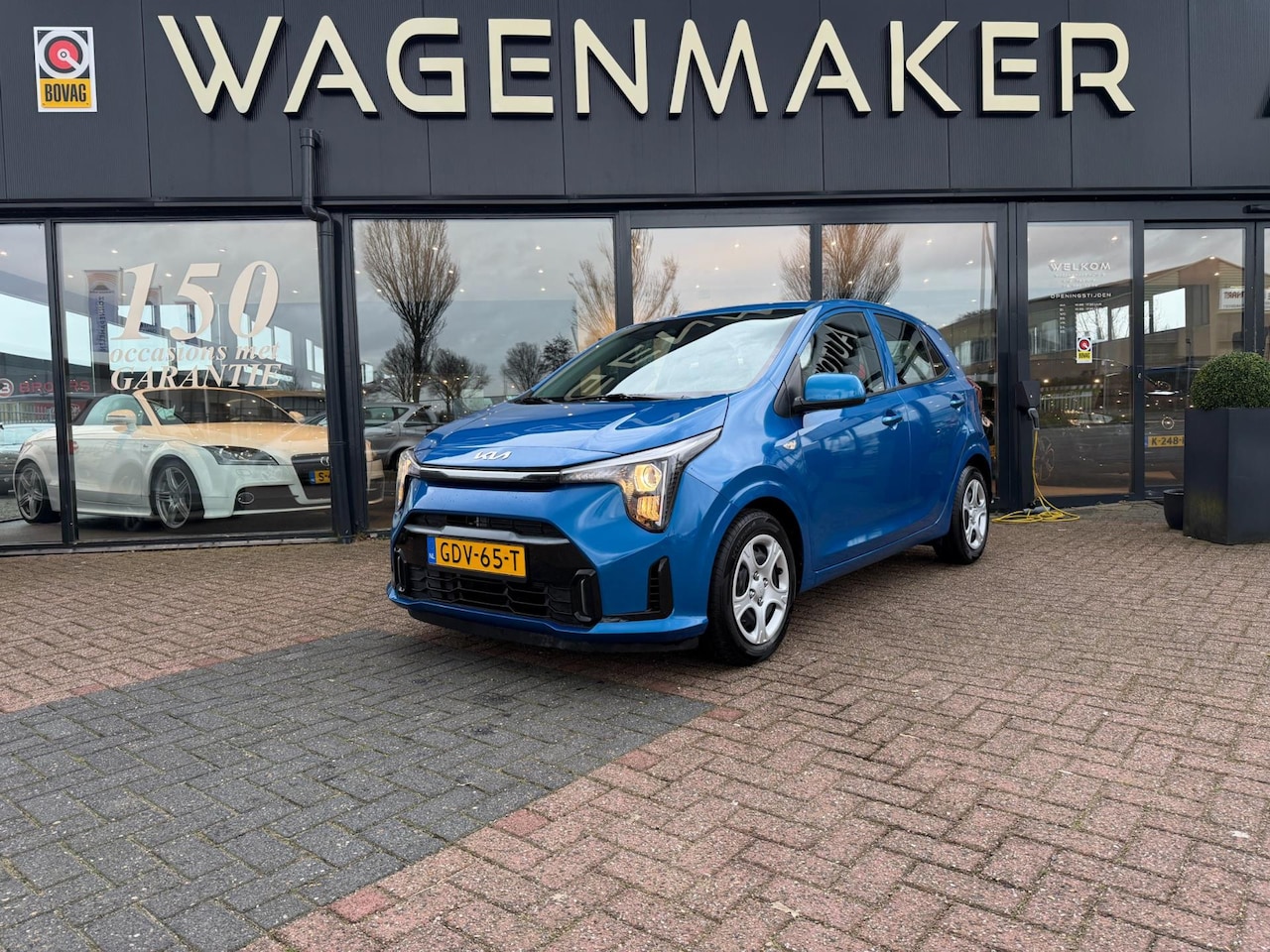 Kia Picanto - 1.0 DPi DynamicLine Clima|Cruise|CAM|Carplay! - AutoWereld.nl