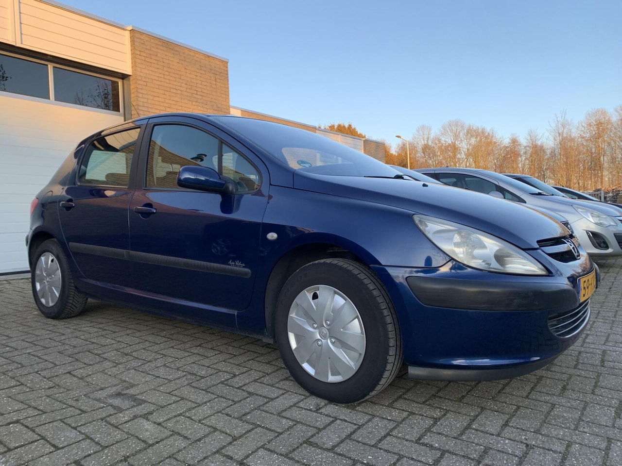 Peugeot 307 - 1.6-16V Gentry 5DR Automaat Airco Trekhaak Elektrisch pakket - AutoWereld.nl