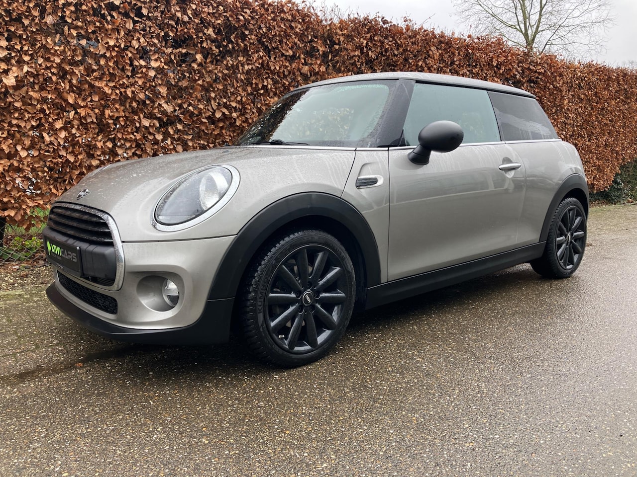 MINI One - 1.5 First Salt - AutoWereld.nl
