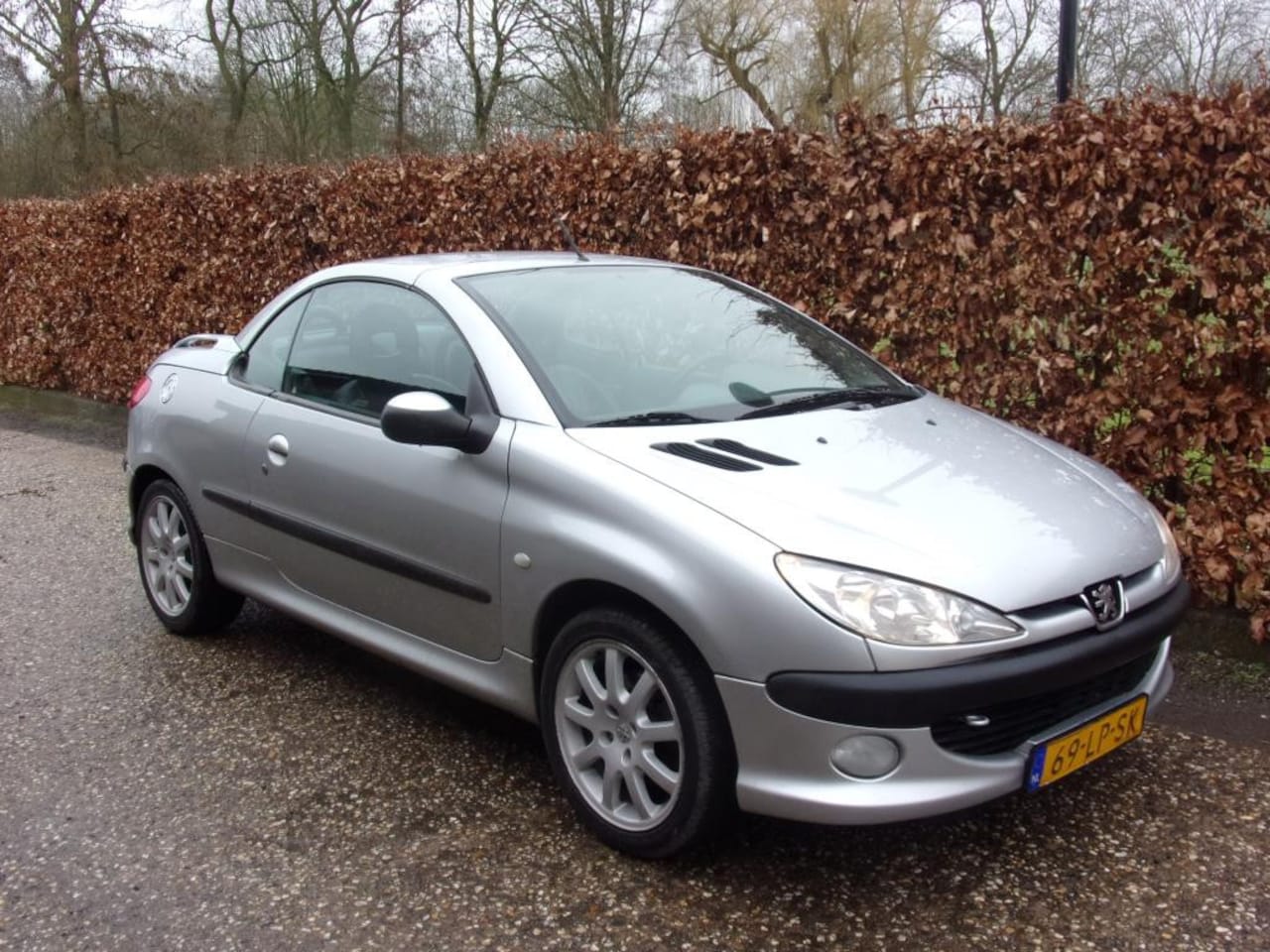 Peugeot 206 CC - 1.6-16V Premium NWE APK LEDER AUTOMAAT - AutoWereld.nl