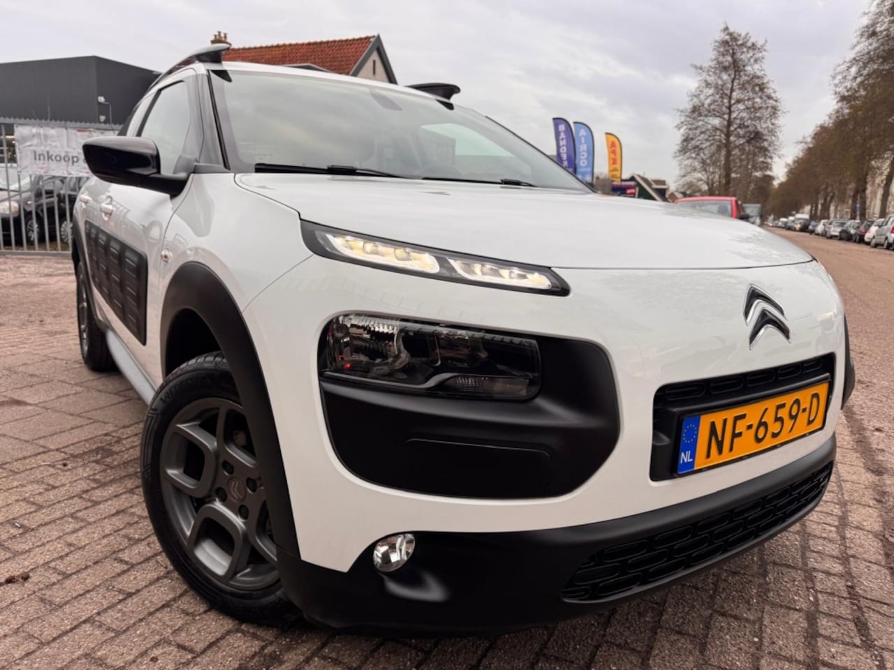 Citroën C4 Cactus - AUTOMAAT 1.2 PureTech Shine - AutoWereld.nl
