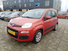 Fiat Panda - 1.2 EDIZIONE COOL