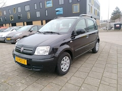 Fiat Panda - 1.2 EDIZIONE COOL