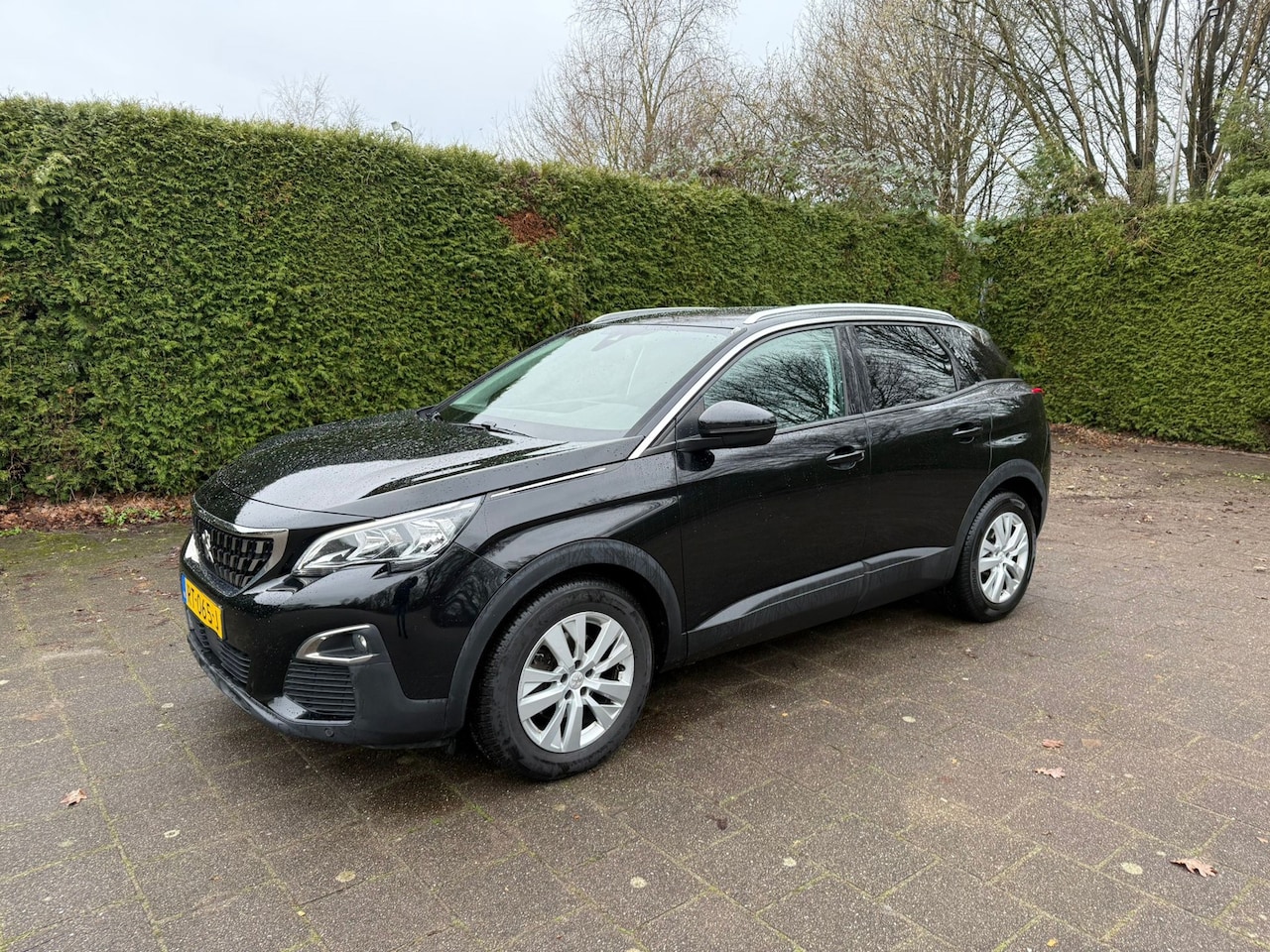 Peugeot 3008 - 1.6 BlueHDi Active 1.6 BlueHDi Active - AutoWereld.nl