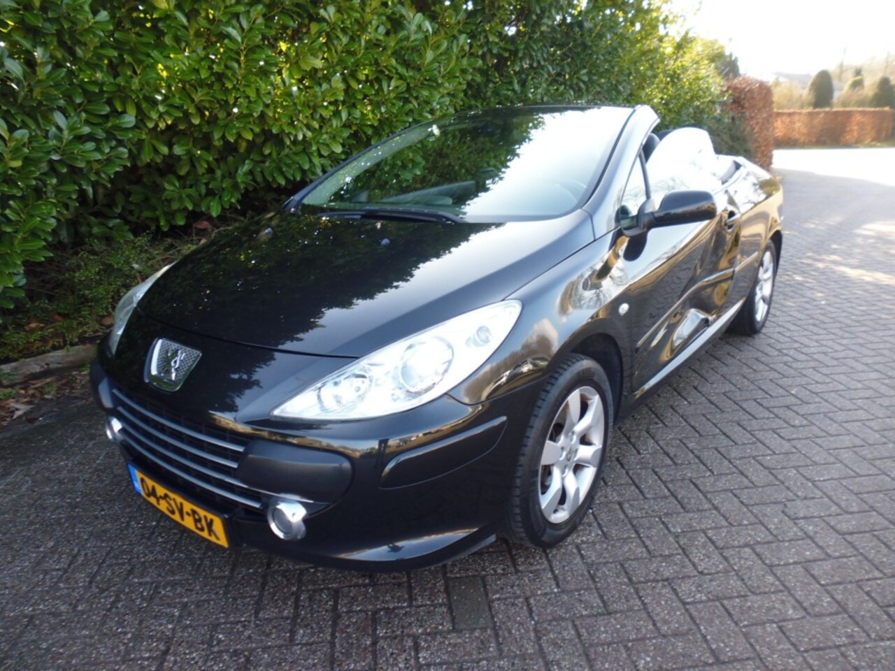 Peugeot 307 - 2.0 16v cc CRUISE LEDER STOELVERW LMV PDC ESP ECC - AutoWereld.nl