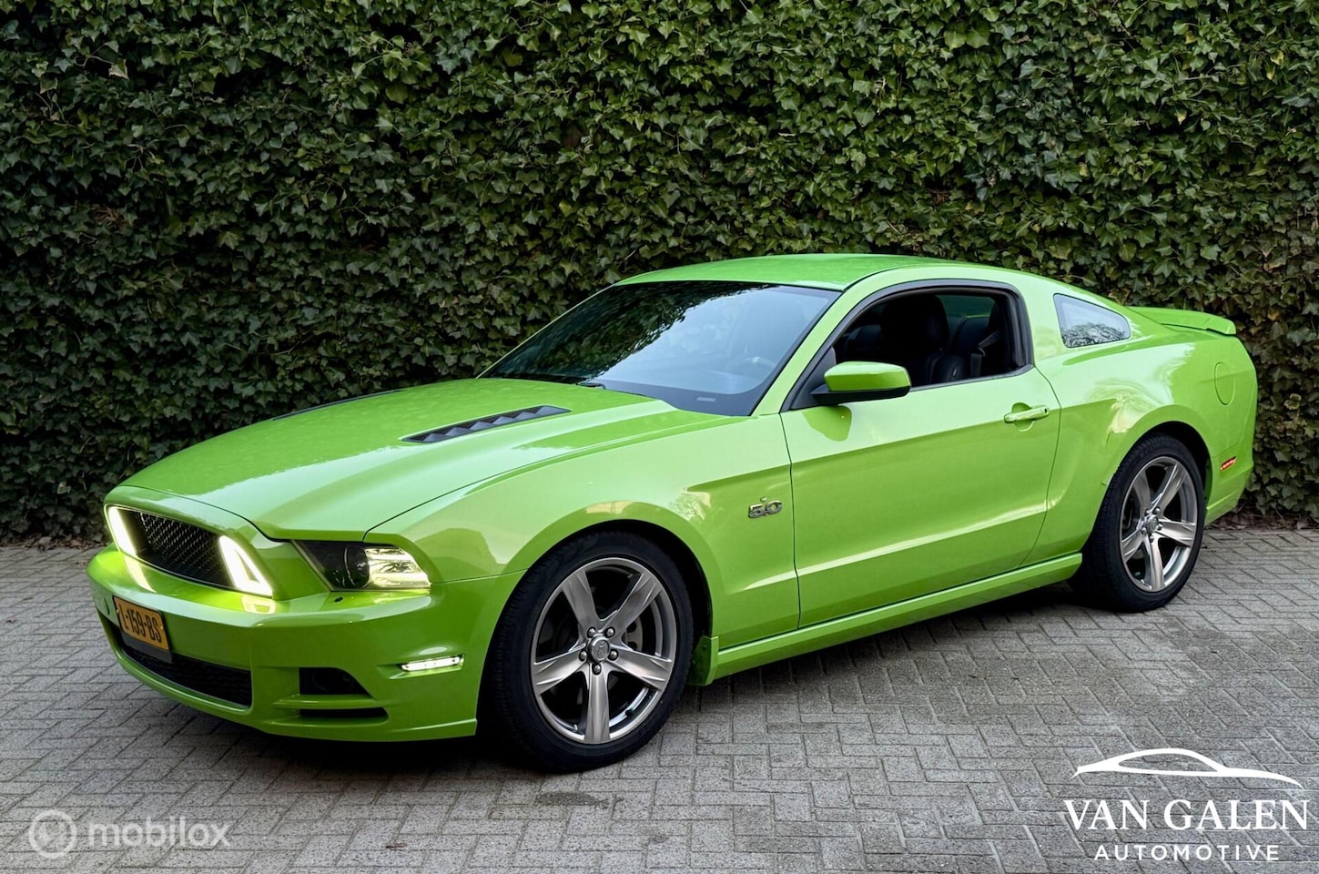 Ford Mustang - USA 5.0 V8 - AutoWereld.nl