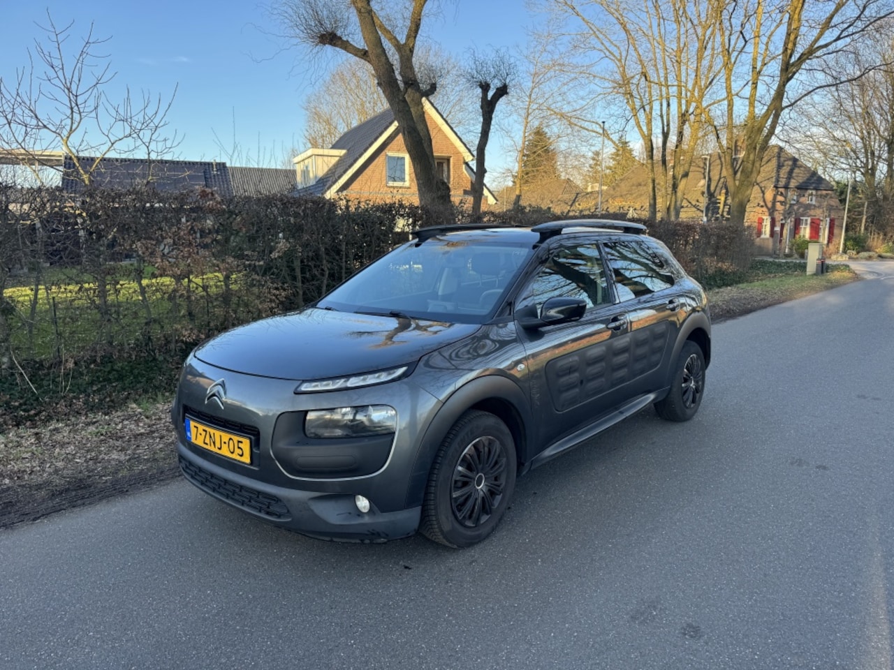 Citroën C4 Cactus - 1.6 BlueHDi Feel 1.6 BlueHDi Feel - AutoWereld.nl