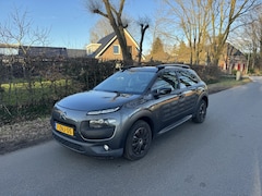 Citroën C4 Cactus - 1.6 BlueHDi Feel