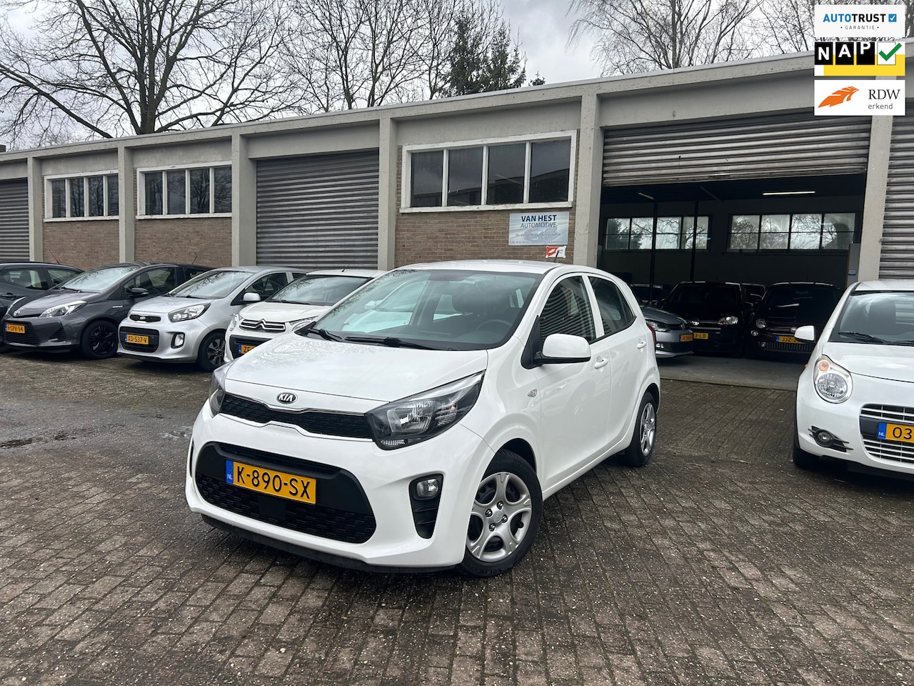 Kia Picanto - 1.0 DPi ComfortLine Cruise control/ Airco/ Bluetooth/ - AutoWereld.nl