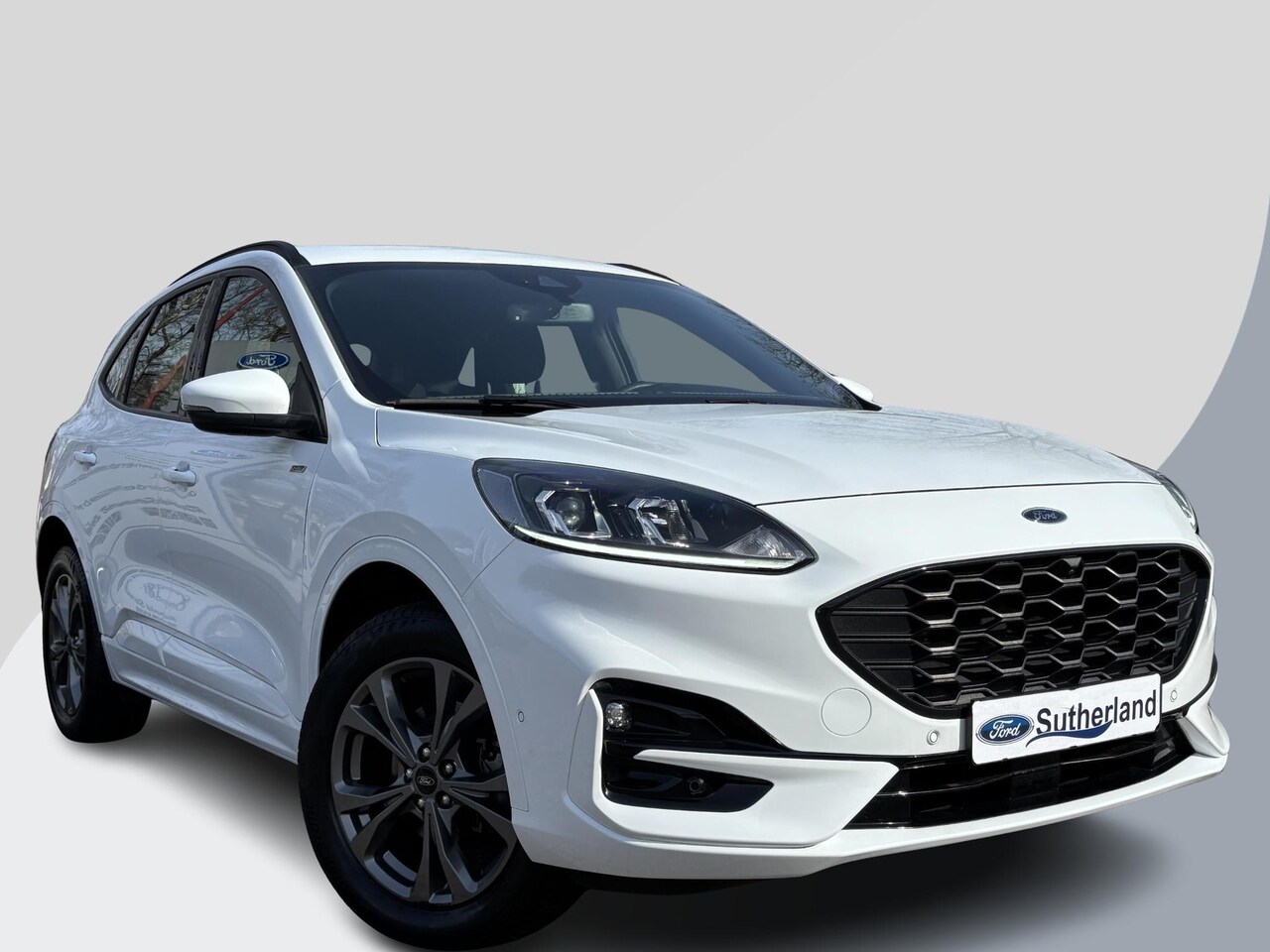 Ford Kuga - 2.5 PHEV ST-Line 225pk | Trekhaak afneembaar | Adaptive cruise control | Winter Pack | Dod - AutoWereld.nl