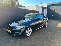 BMW 2-serie Cabrio - 220i High Executive, M-sport, Leder, Org. NL