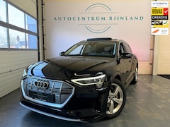 Audi e-tron - 50 quattro Launch edition Plus 71 kWh Pano Trekhaak