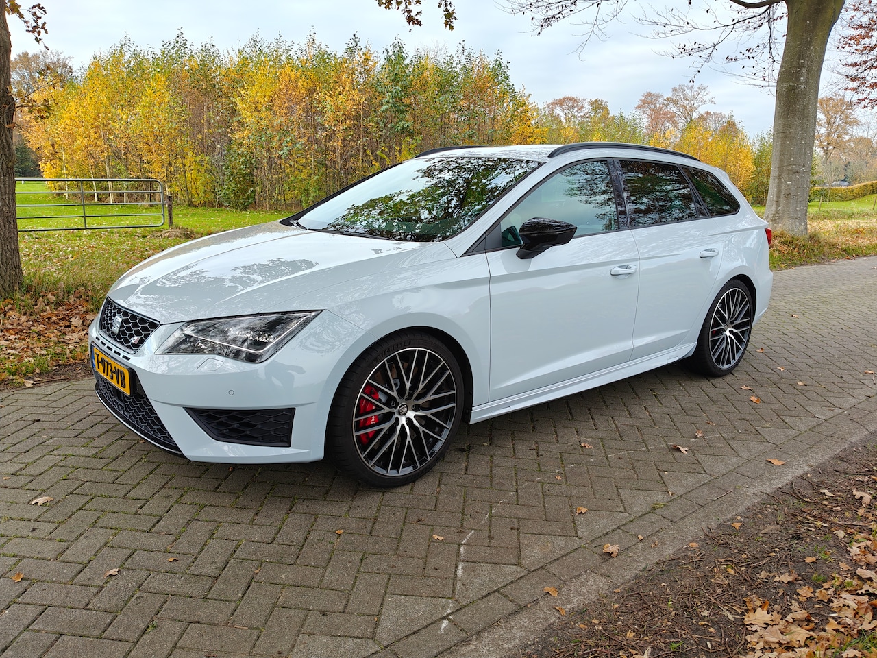 SEAT Leon ST - 2.0 TSI Cupra 290 Connect Performance pakket - AutoWereld.nl