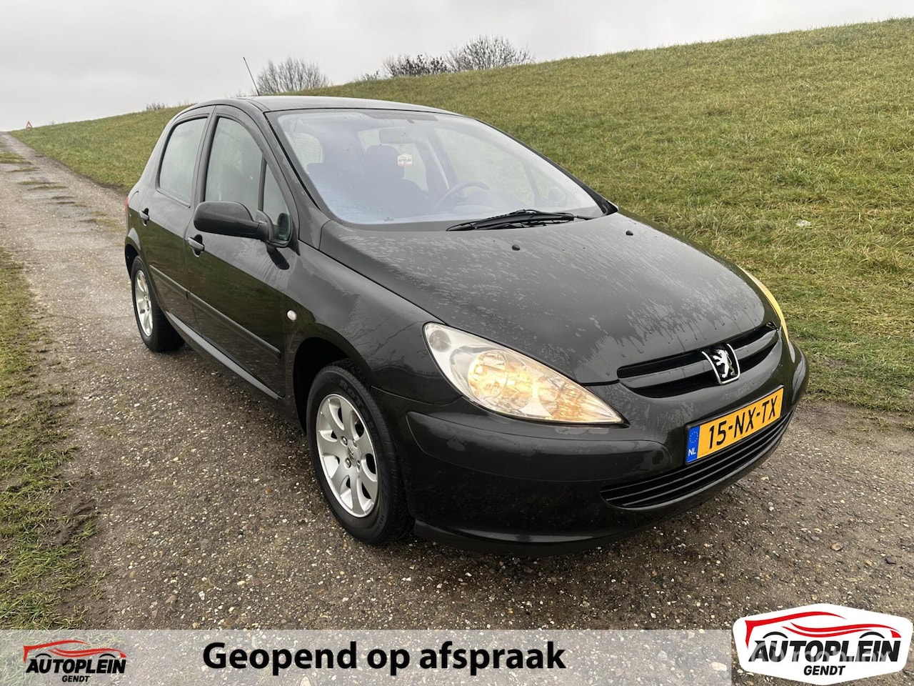 Peugeot 307 - 1.4-16V XS Pack Nieuwe apk + Distributieriem! - AutoWereld.nl