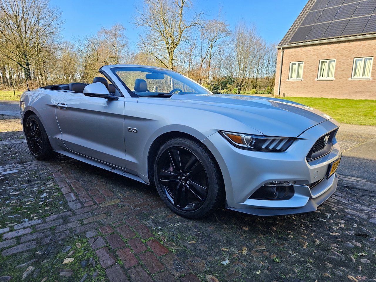 Ford Mustang Convertible - 5.0 GT - AutoWereld.nl