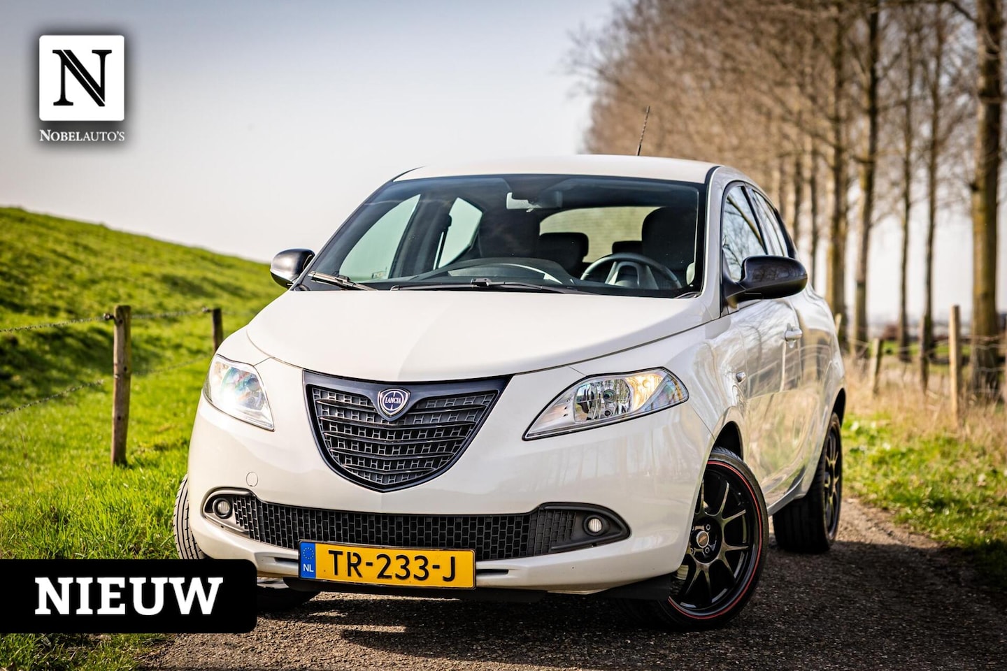 Lancia Y(psilon) - Ypsilon 1.3 MultiJet 16v | Cruise | Airco | LM Velgen - AutoWereld.nl