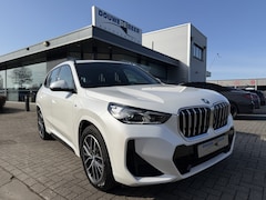 BMW X1 - xDrive25e M sport Camera | Stoelverw. | Grootlicht | Spiegelpakket