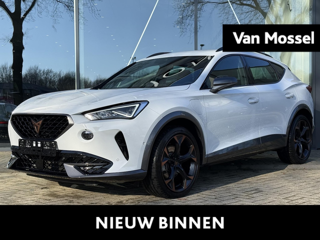 CUPRA Formentor - 1.4 e-Hybride Business | STUURVERWARMING | CAMERA | ELEKTR. ACHTERKLEP | KEYLESS ENTRY | P - AutoWereld.nl