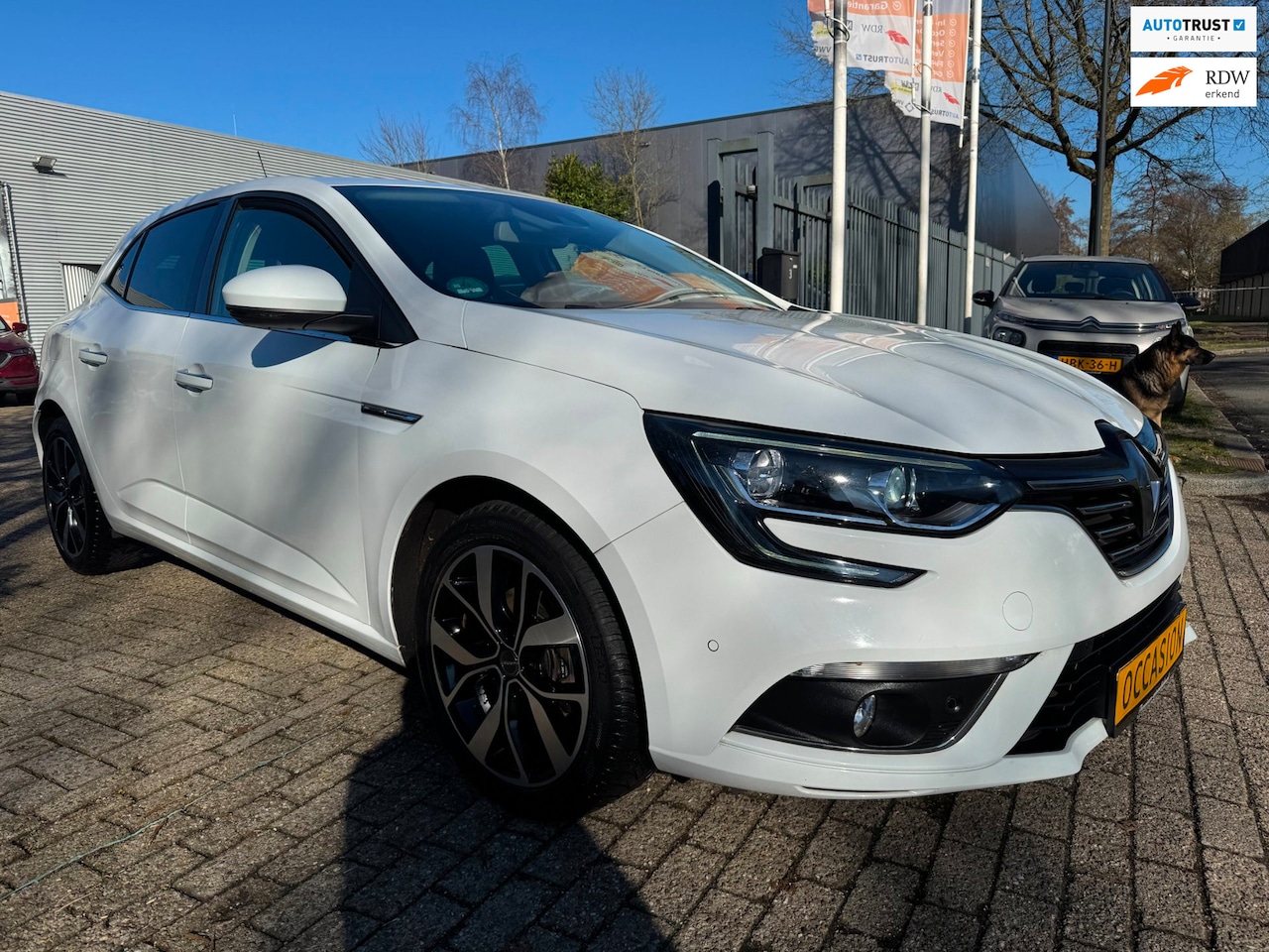 Renault Mégane - 1.3 TCe Bose camera, pdc, clima, groot display, 1/2 leder key-less go/start stoelverwarmin - AutoWereld.nl