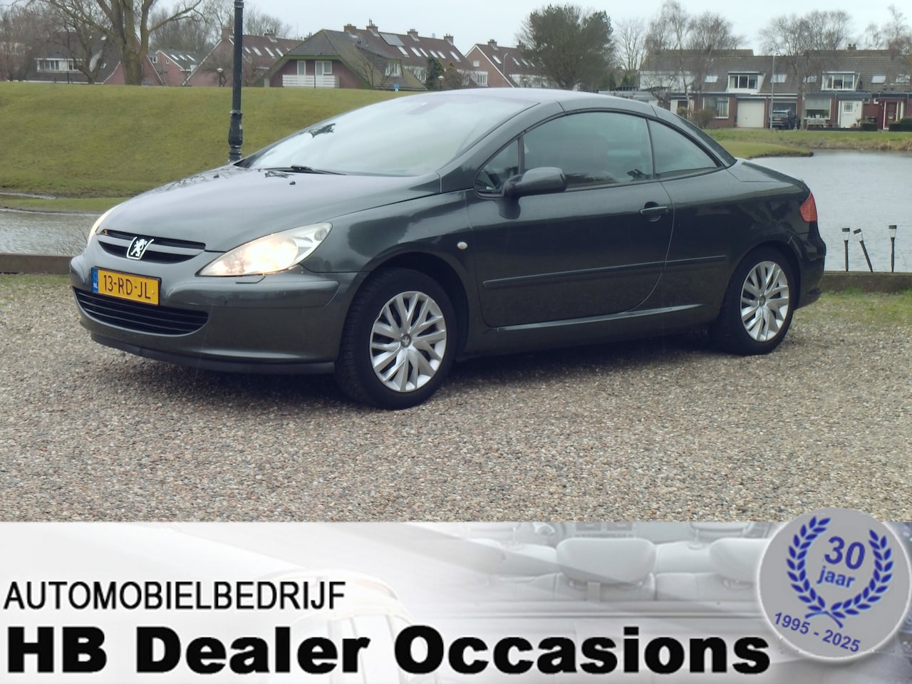 Peugeot 307 CC - 2.0-16V * Storing cabrio dak !! - AutoWereld.nl