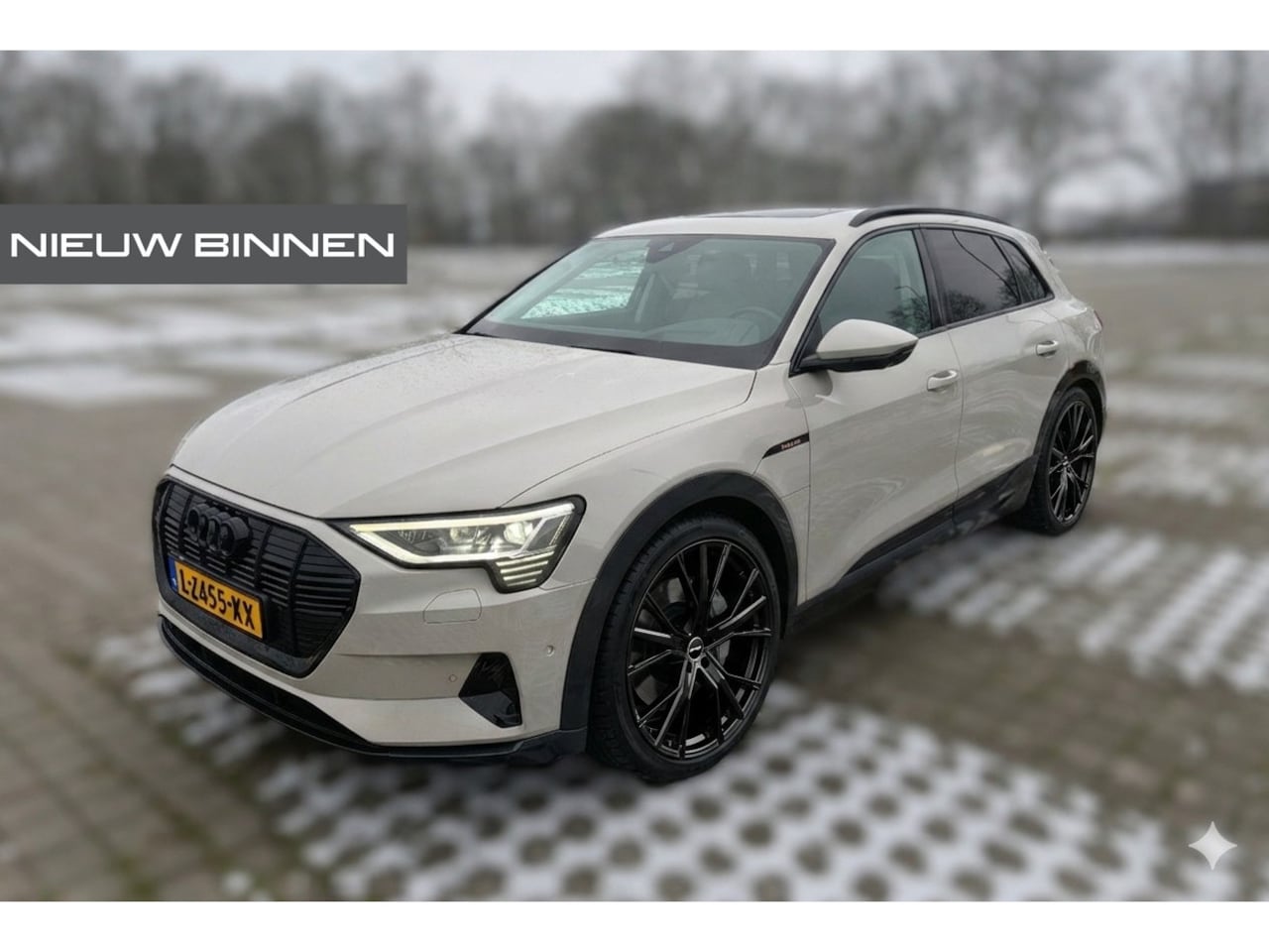 Audi e-tron - e-tron 55 quattro advanced Pro Line Plus 95 kWh | Panoramadak | Bang & Olufsen | Stoelkoel - AutoWereld.nl