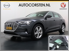 Audi e-tron - 313pk Quattro Soh 91% Leer PanoDak Adaptive.Cruise Camera Elek.Stoelen+Memory+Verwarmd Nav