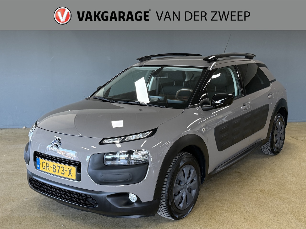 Citroën C4 Cactus - 1.6 BlueHDi Business 1.6 BlueHDi Business - AutoWereld.nl