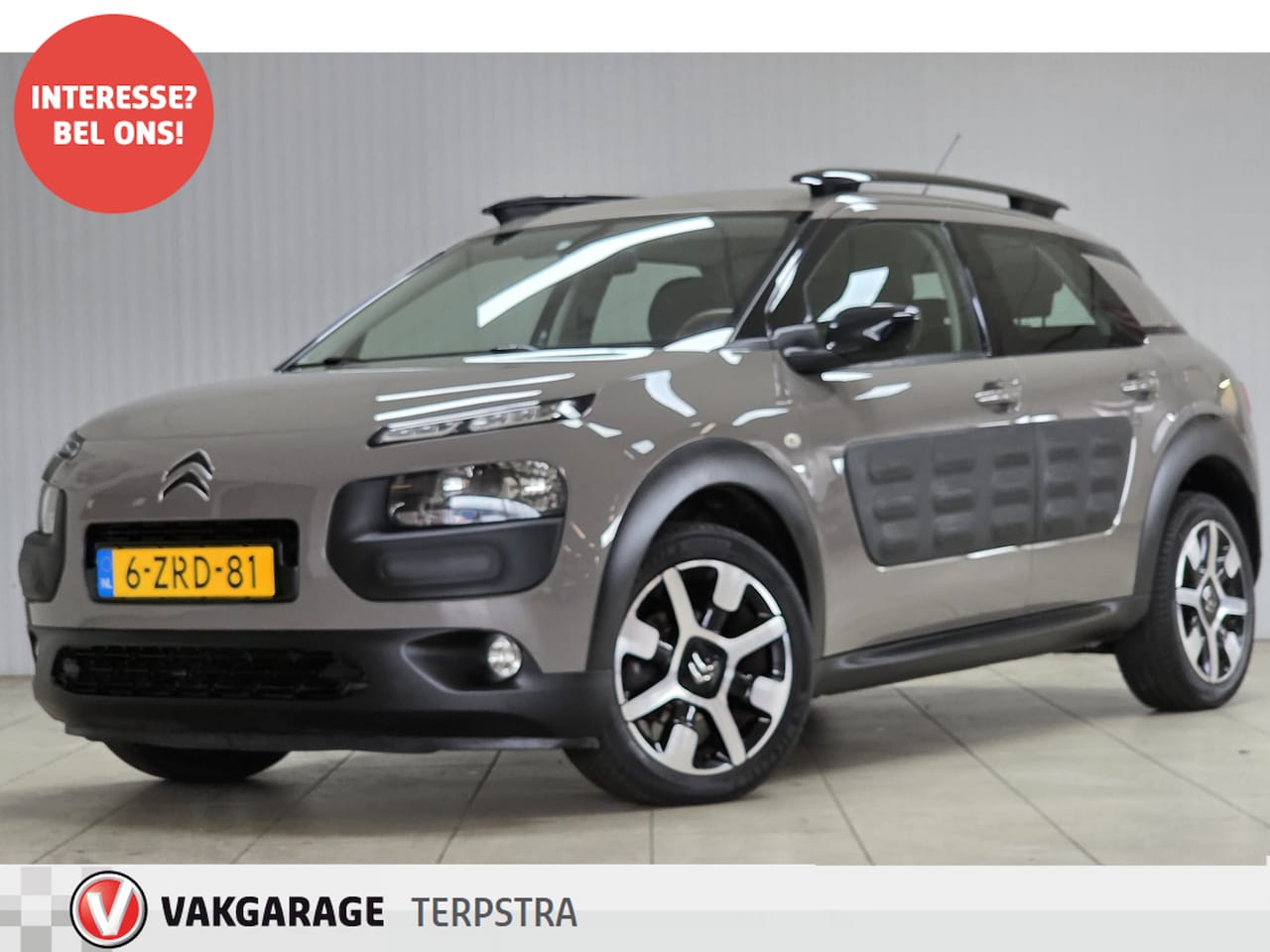 Citroën C4 Cactus - 1.6 BlueHDi Business/ D-Riem verv! Trekhaak/ Camera/ Panorama-Dak/ DAB+/ 17'' LMV/ Navi/ C - AutoWereld.nl