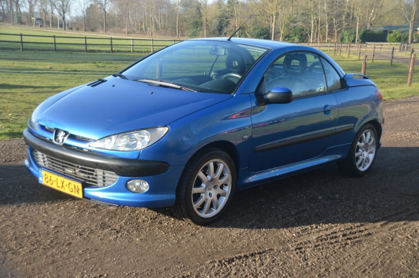 Peugeot 206 CC - 1.6-16V Premium Blauw 2003 Dak defect - AutoWereld.nl