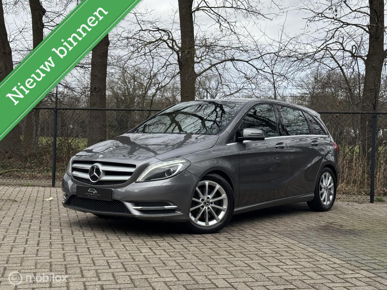 Mercedes-Benz B-klasse - 250 Prestige/NW APK/TRKHK/XENON/LMV/CAMERA - AutoWereld.nl