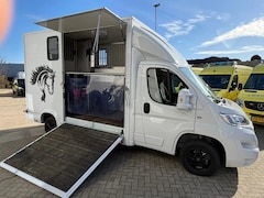 Opel Movano - Paardenwagen/Veewagen Hengsten Uitvoering Airco Cruisecontrol NIEUW