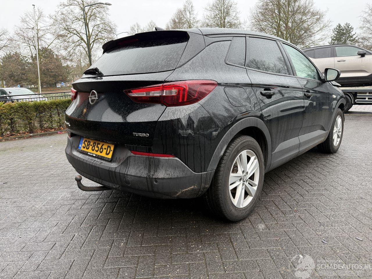 Opel Grandland - 1.2 Turbo Online Edition (SUV 5-dr.) - AutoWereld.nl