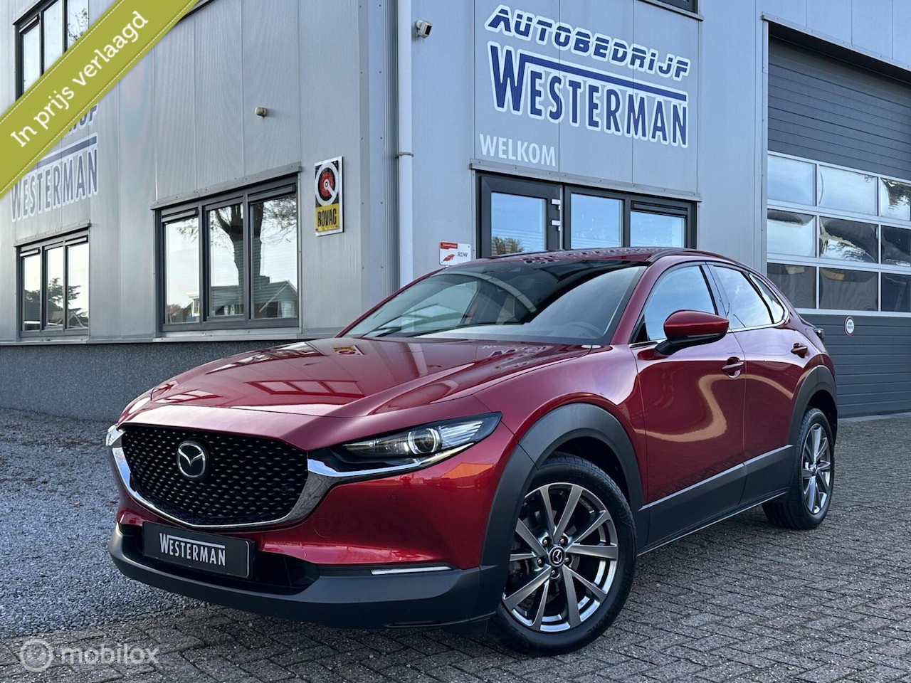 Mazda CX-30 - 2.0 e-SkyActiv M Hybrid Luxury AUT Acc Leer Trekh. Bose Carplay 18"Lmv etc. - AutoWereld.nl
