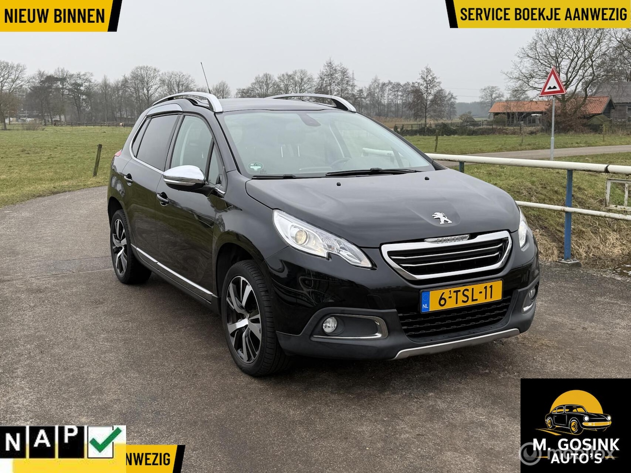 Peugeot 2008 - 1.6 VTi Féline 1.6 VTi Féline - AutoWereld.nl