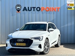 Audi e-tron - 55 Quattro Bus edit 95 kWh MOMORY TREKHAAK SOH 93%