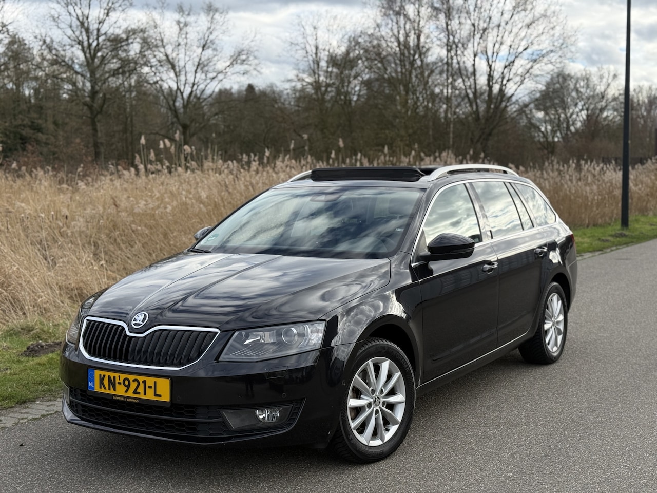 Skoda Octavia Combi - 1.0 TSI Greentech Ambition Business 1.0 TSI Greentech Ambition Business - AutoWereld.nl