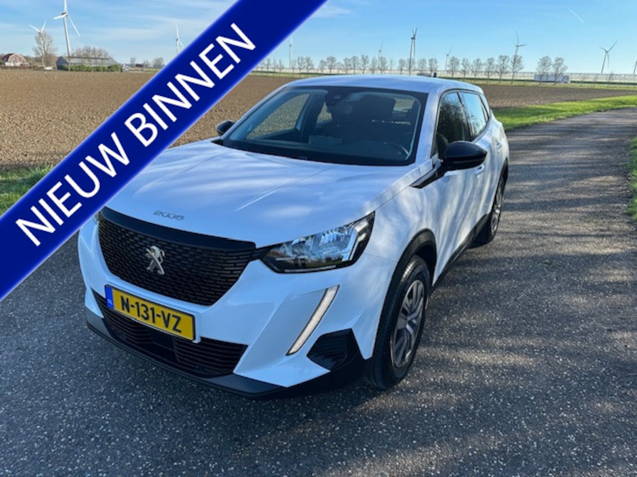 Peugeot 2008 - 1.2 PureTech Active Navigatie Pdc Enz - AutoWereld.nl