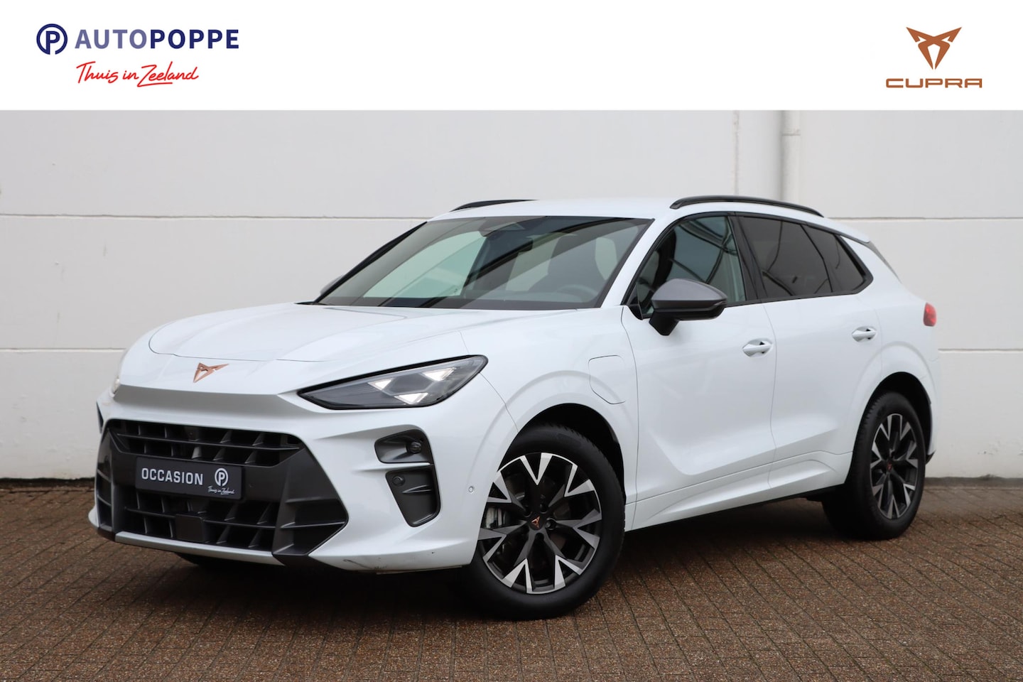 CUPRA Terramar - 1.5 TSI eHybrid Business 204pk DSG6 | HUD | Stoel+Stuurverwarming | 360 camera | Carplay | - AutoWereld.nl