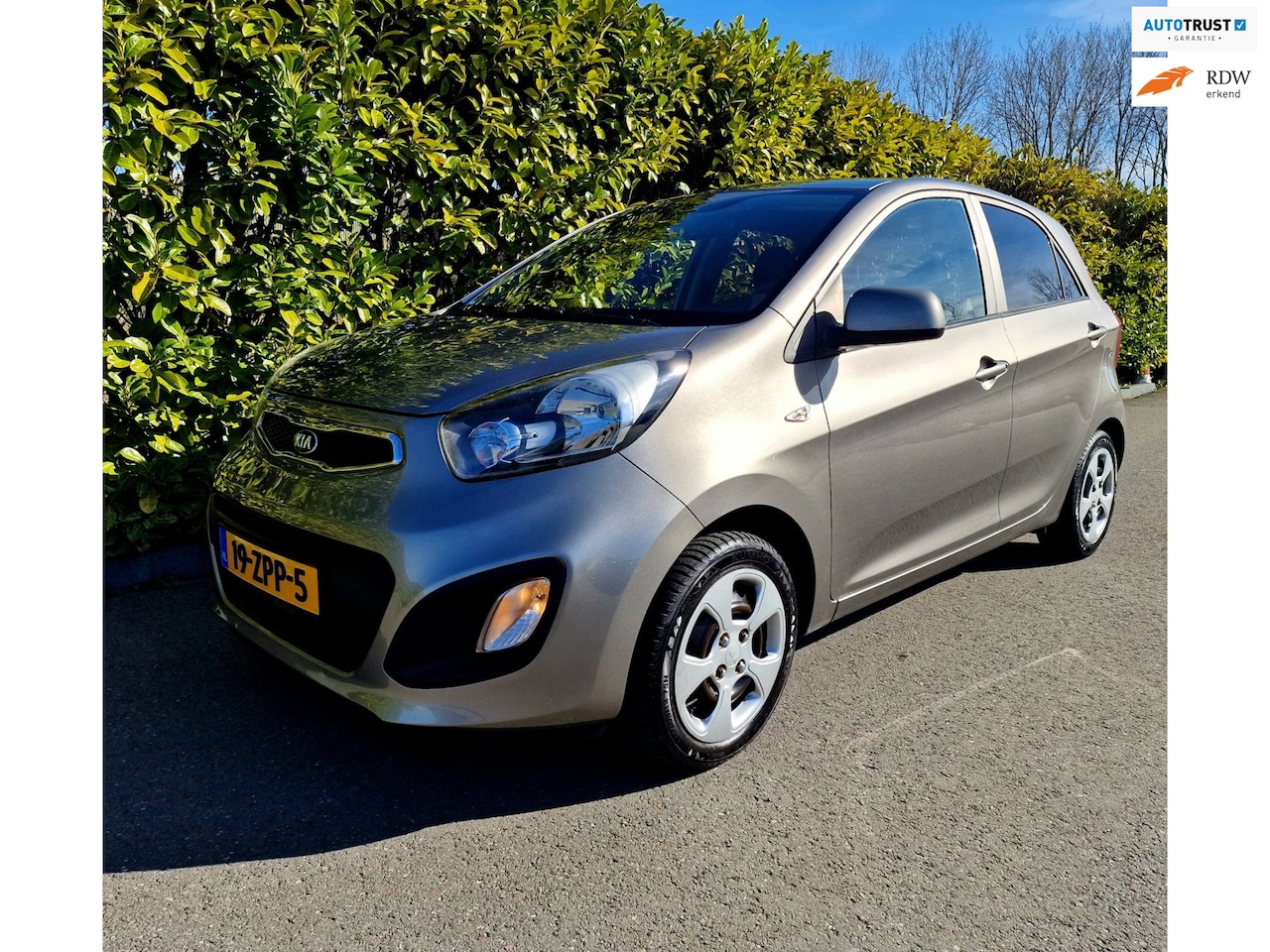 Kia Picanto - 1.0 CVVT Zeer Goed Onderhouden Nieuwe Apk - AutoWereld.nl